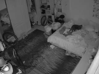 voyeurcam hornyhostel 02
